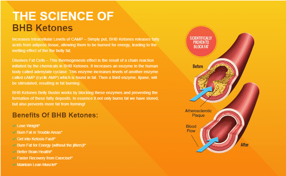 Slimphoria Keto Ingredients